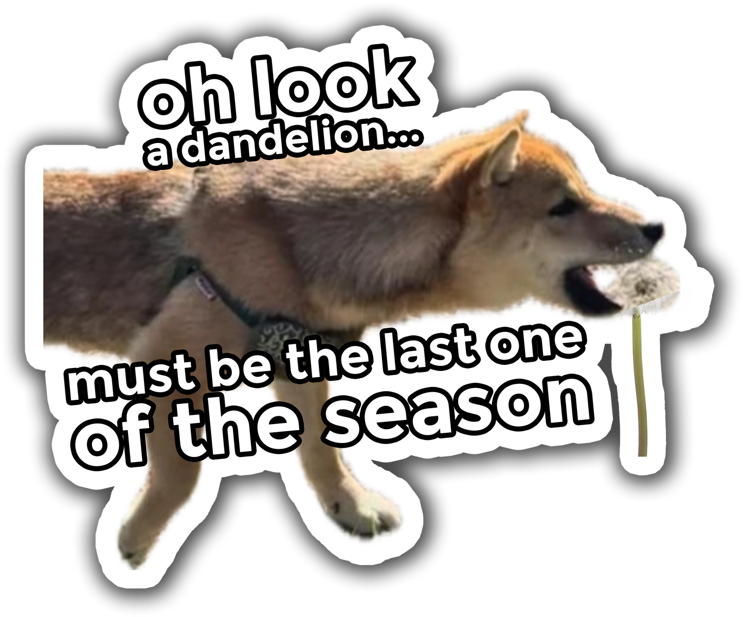 Sticker: oh look, a dandelion...