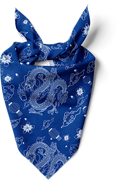 Blue Bandana White Dragon